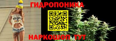 стаф Тара