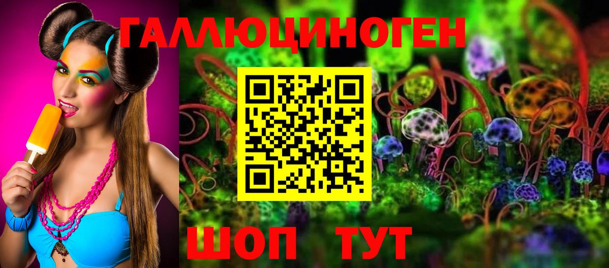 Псилоцибиновые грибы Psilocybe  Псилоцибиновые грибы Cubensis  как найти закладки  Выборг  Вход с VPN 